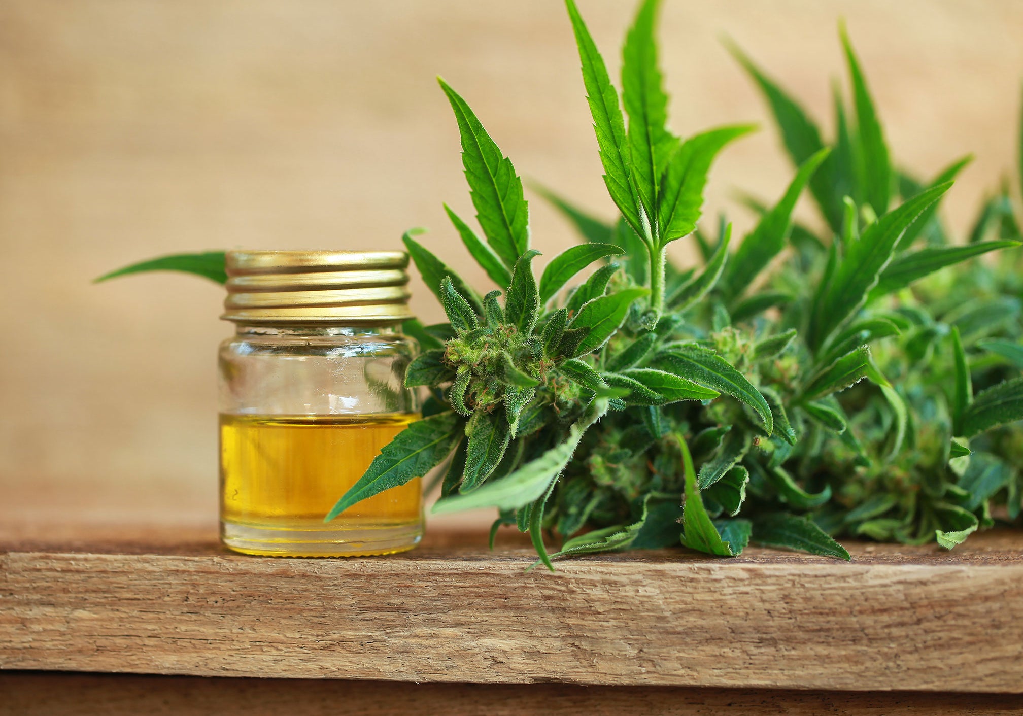 Why We Put Hemp In Our Products