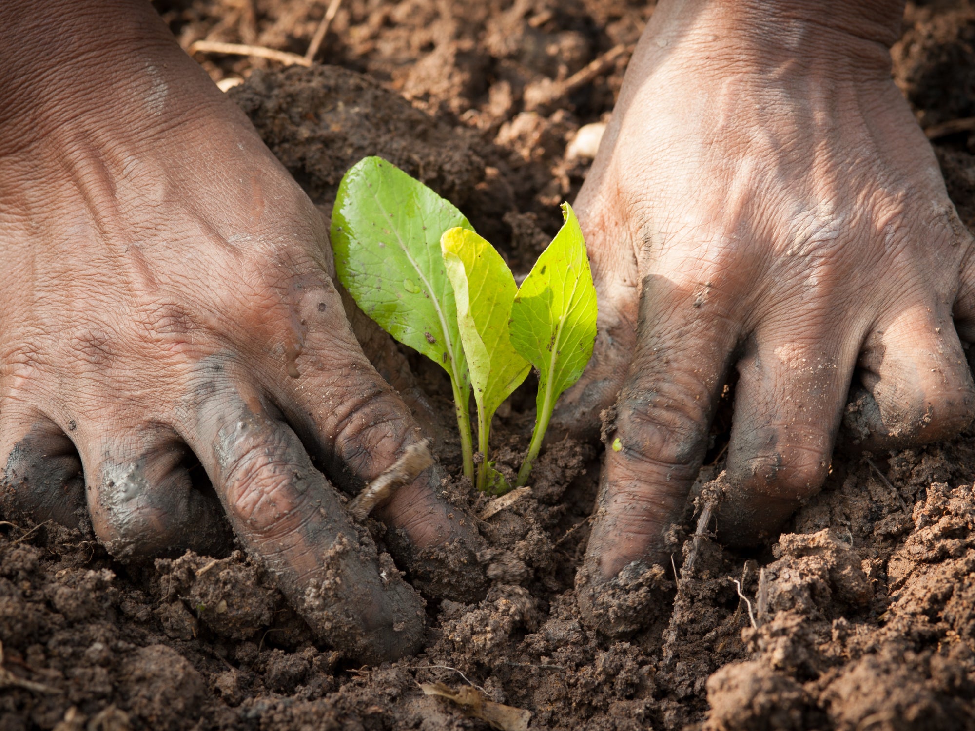 Why Does Dirt Dry Out Your Hands?