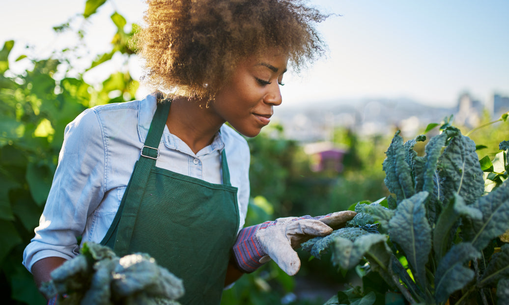 a gardener tending crops in a field on a clear day