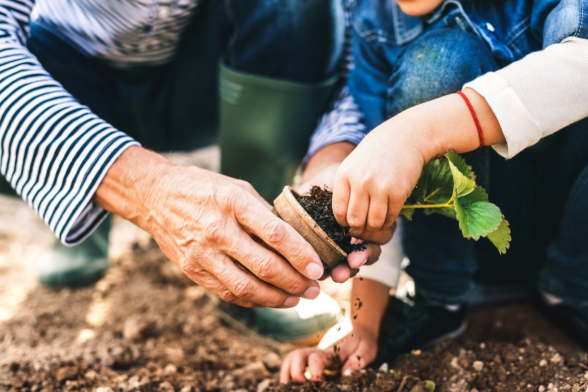 Gardening: Good for the Soul, the Body and the Glutes!