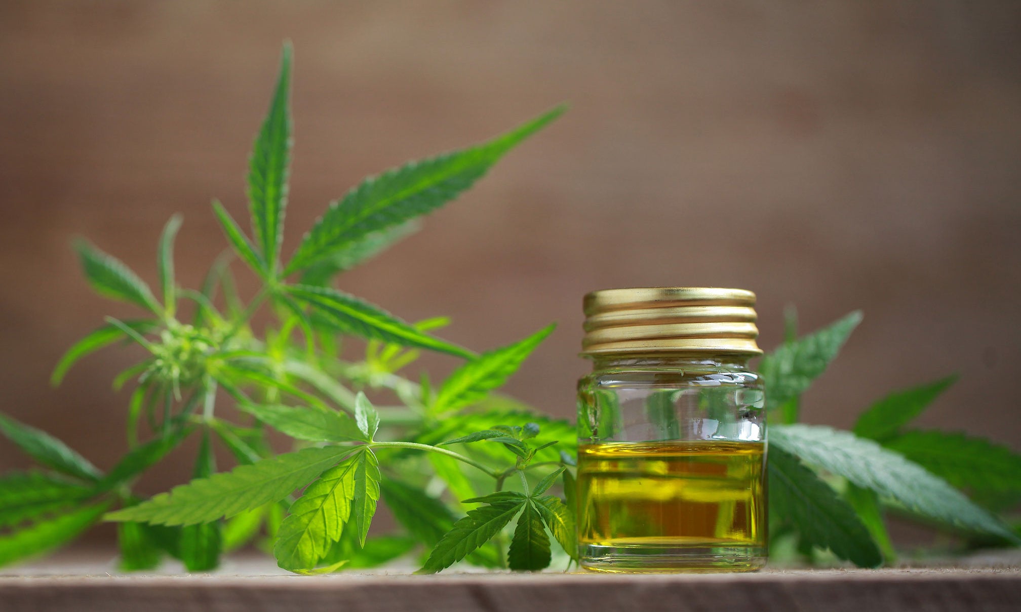 How Can Hemp Oil Help Eczema?